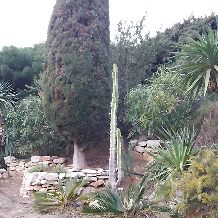 T2 Le Bougainvillier Διαμέρισμα