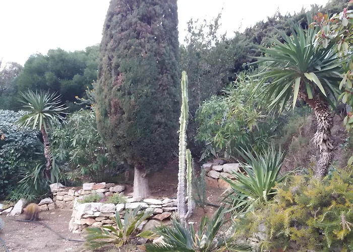 T2 Le Bougainvillier Διαμέρισμα