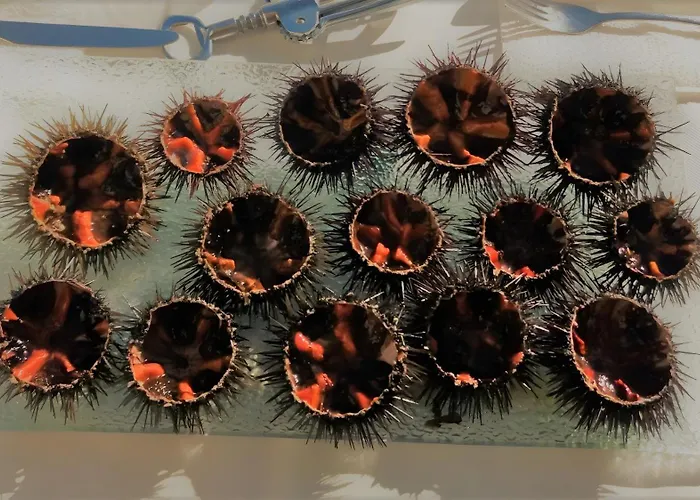 T2 Le Bougainvillier Apartamento Cassis