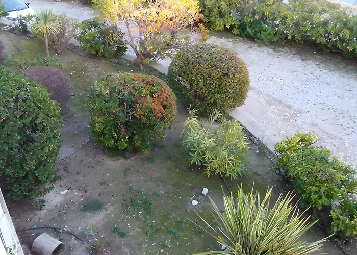 Apartament T2 Le Bougainvillier *
